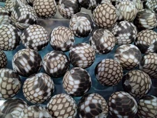 Food Grade Silicone Bead, Chewing Beads For Teethers,12x11.5mm, Snakeskin,10pc