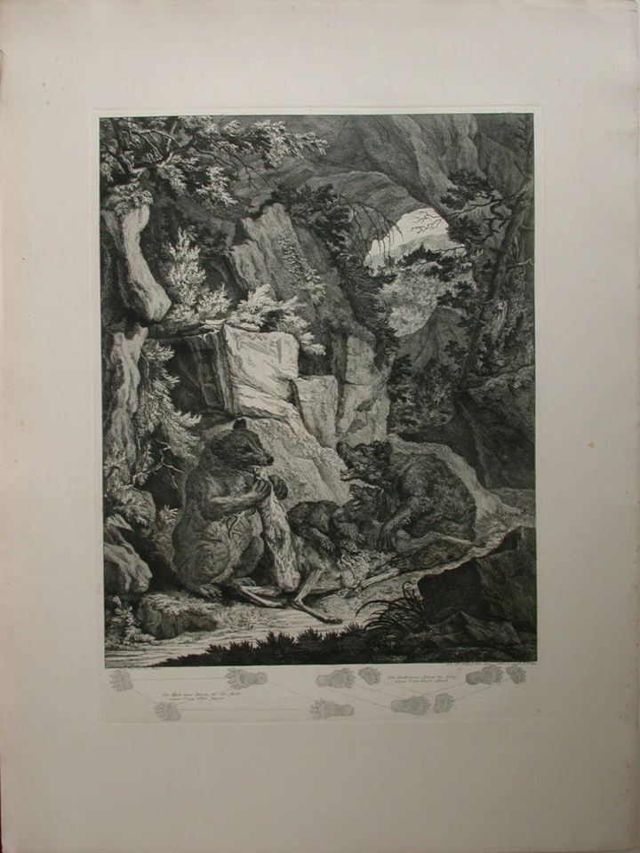 3 Kupferstiche von Johann Elias Ridinger (1698-1767) im repräsentativen Format - Bild 3 von 4