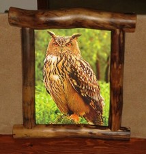 NUOVO 3D quadro gufo decorazione parete Colorado Aspen cornice legno illusione ottica 18x20
