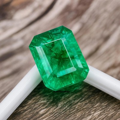 Colombian Green Emerald 10 Ct Natural Emerald Cut Loose Gemstone Certified