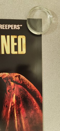 Asylum Of The Damned Original Movie Poster Promo Horror Rare 24"x18" - Picture 7 of 8