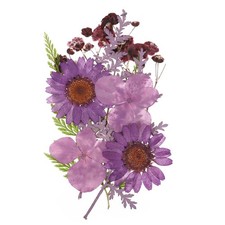 Getrocknete Gepresste Blumen, Echte Gepresste Blumen Trockene Bl&auml;tter #5