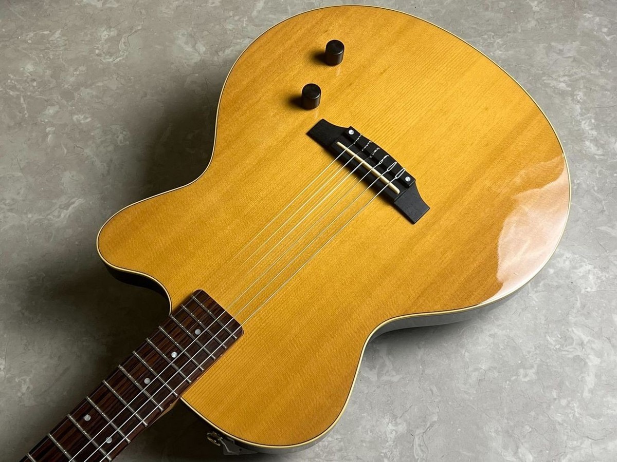 YAMAHA AEX500NS | eBay
