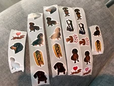 New 25 Dachshund Stickers Black Brown Red Tan Weiner Dog