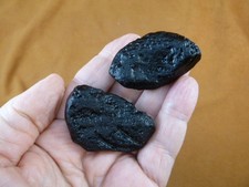(x-343) set of 2 large Tektites TEKTITE from Impact 700,000 years ago specimens