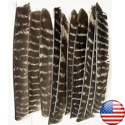 SHARROW 50X Full Length Arrow Feathers Turkey Fletches Fletching RW LW Archery Shaft DIY