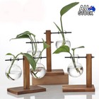 Wooden Stand Glass Flower Vase Hydroponic Hanging Plant Terrarium Container AU