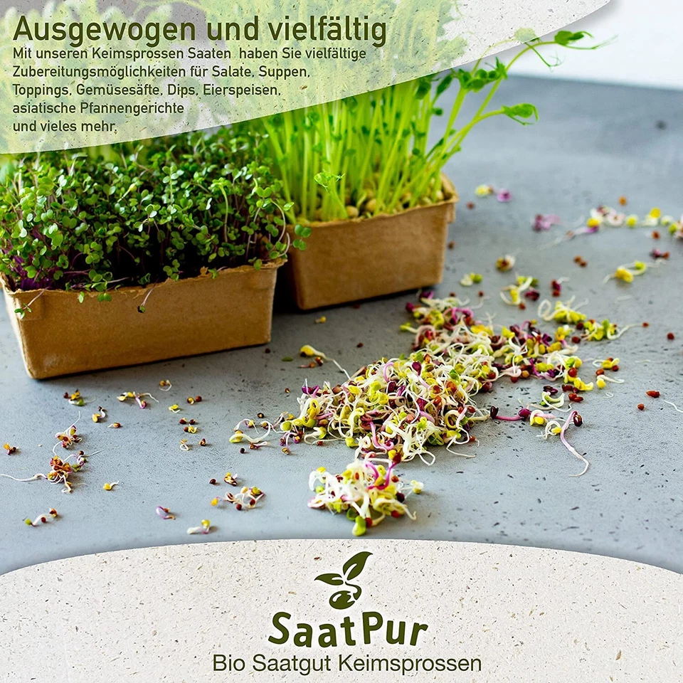 1kg BIO Keimsaat für Sprossen Kresse Samen Keimsprossen Microgreens Vegan Öko - Bild 3 von 4