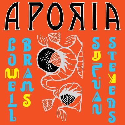 Sufjan Stevens & Lowell Brams Aporia (Vinyl) 12'' Album (UK IMPORT)