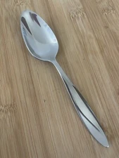 Oneida SIMMER Frost Glossy Handle Stainless Pointed Tip TEASPOON 6.25” NEW!