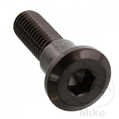 6624-Brake Disc Screw M8X1.25MM 30MM STAINLESS STEEL Compatible with Triumph Trophy 900