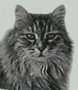 Grey Tabby Cat Long Haired Counted Cross Stitch Kit 7 75 X 8 75