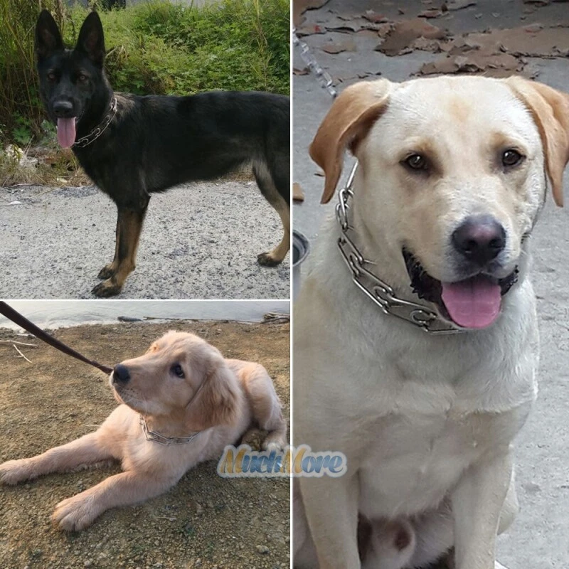 Collar de equipo de guardián de entrenamiento para mascotas perros cadena punta de metal para mascotas estrangulador 16"-22" Foto 3 de 4