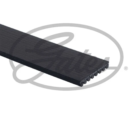 Se adapta a correas acanaladas en V Gates para Jeep Grand Cherokee (1999-2001) -6635 Foto 3 de 4