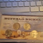 Buffalo Nickel Collection 4-Coin Set in Plastic Case w/ Certificate, 5C