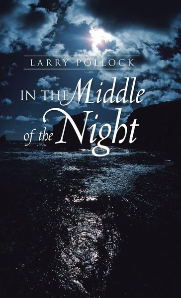In The Middle Of The Night | Larry Pollock | Buch | Gebunden | Englisch | 2013-image