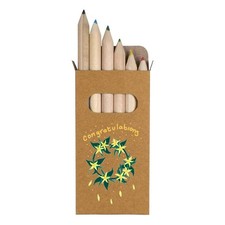 6 x 'Congratulations To You' Short Colour Pencils PE00087142