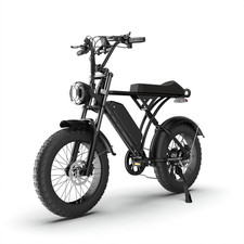 1000W Peak Electric Bike 20" Fat Tire Ebike 48V 15.6Ah 30MPH 7Speed Disc Brake