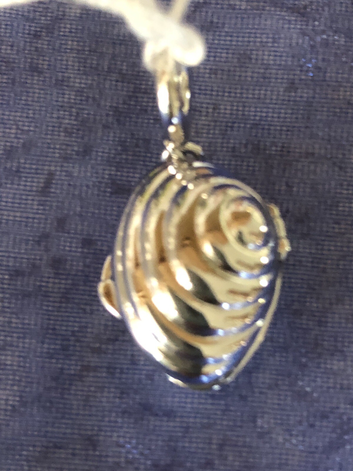 CLAM SHELL 3D With Spring Ring Closure - image 2