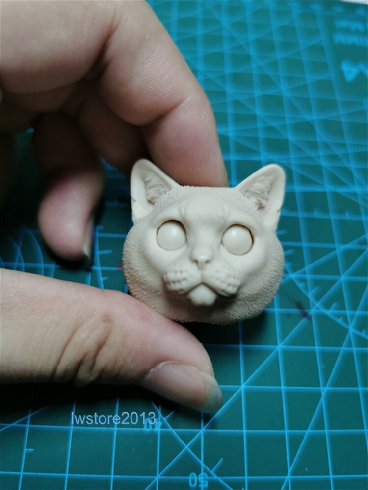 1:6 Felis Catus Cat Animal Head Sculpt Carved For 12