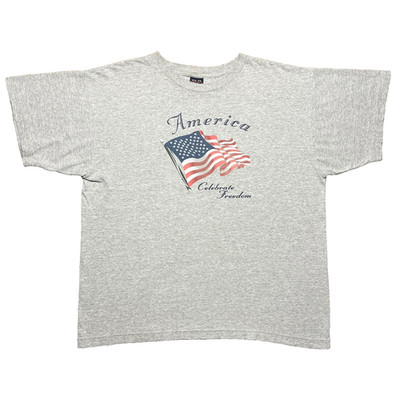 Vintage 90s American Flag Celebrate Freedom Graphic T Shirt Mens XL Grey USA Tee