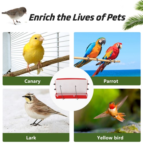 2 Pack Automatic Feeding Box Poultry Feeder Bird Food Dispenser Container - Picture 8 of 12