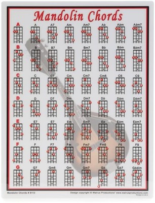 Walrus Productions Mini Laminated Mandolin Chords Chart (5-pack) Bundle