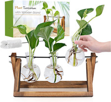 Plant Propagation Station, Plant Terrarium with Wooden Stand, Unique Gardening B