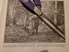 1917 Willesden Battalion Middlesex Volunteer Regiment On Bicycles