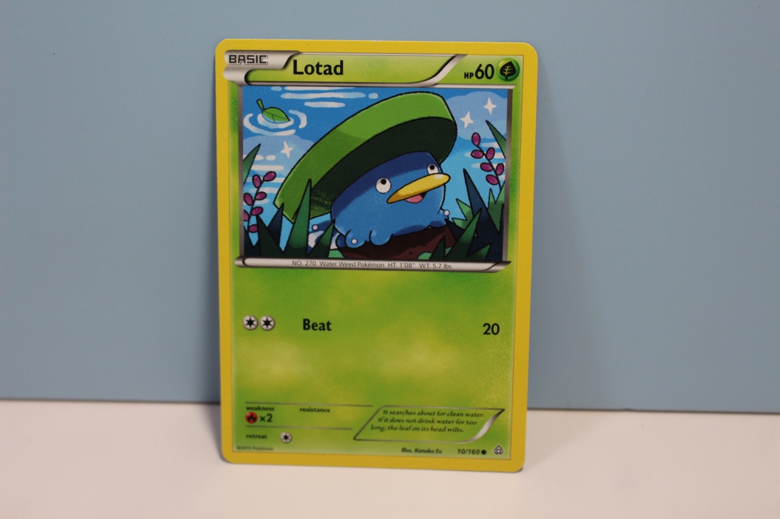 Lotad XY - Primal Clash 10/160 Common LP