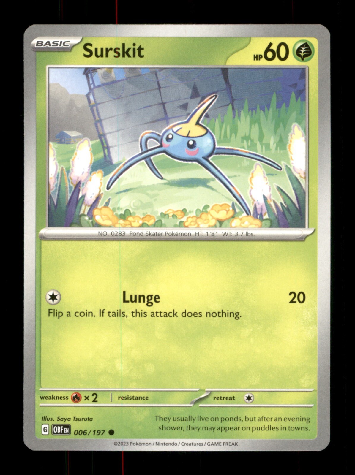 Surskit 006/197 Regular Nintendo  Pokemon Trading Card TCG 