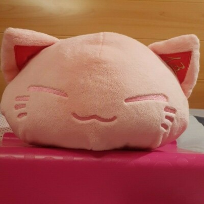 furyu nemuneko