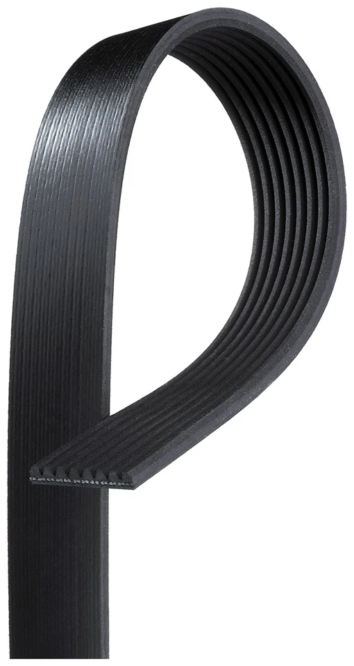 VRIBBED BELT 8PK1005HD FOR VOLVO D12A420 12.1L D7C290 7.3L 6cyl FM7 - Image 2 of 4