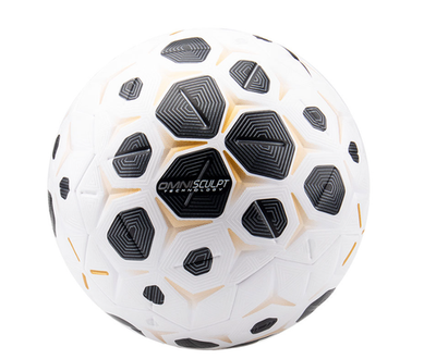 Nike Control 25/26 OMNISculpt ACC Match Soccer Ball Size 5 HV4395