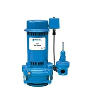 Goulds SJ10 1 HP Deep Water Well Jet Pump 115/230V, Single Phase, 2 Stages