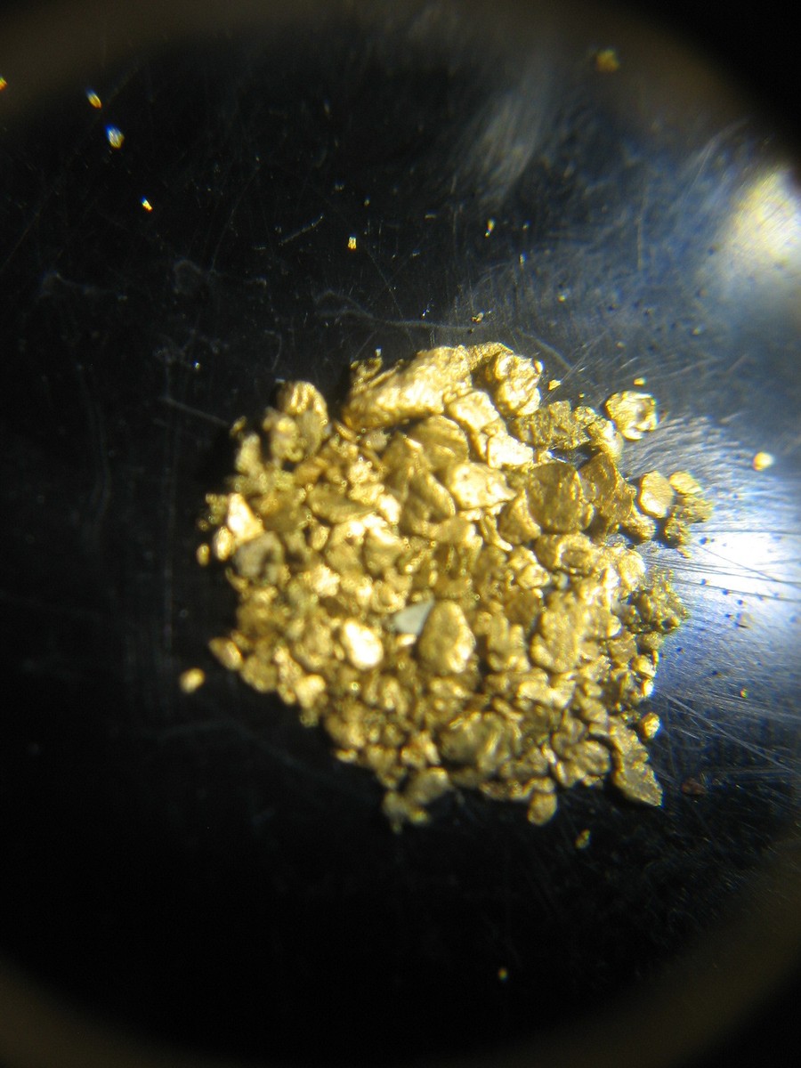 1 LB GOLD NUGGET RICH %100 UNSEARCHED PAY DIRT 10 | eBay