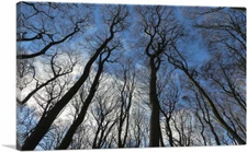 ARTCANVAS Forest Home Decor Rectangle Canvas Art Print