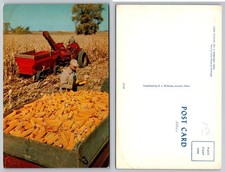 Vintage Nebraska Farm Corn Picking Photo Postcard E. J. Williams S7750