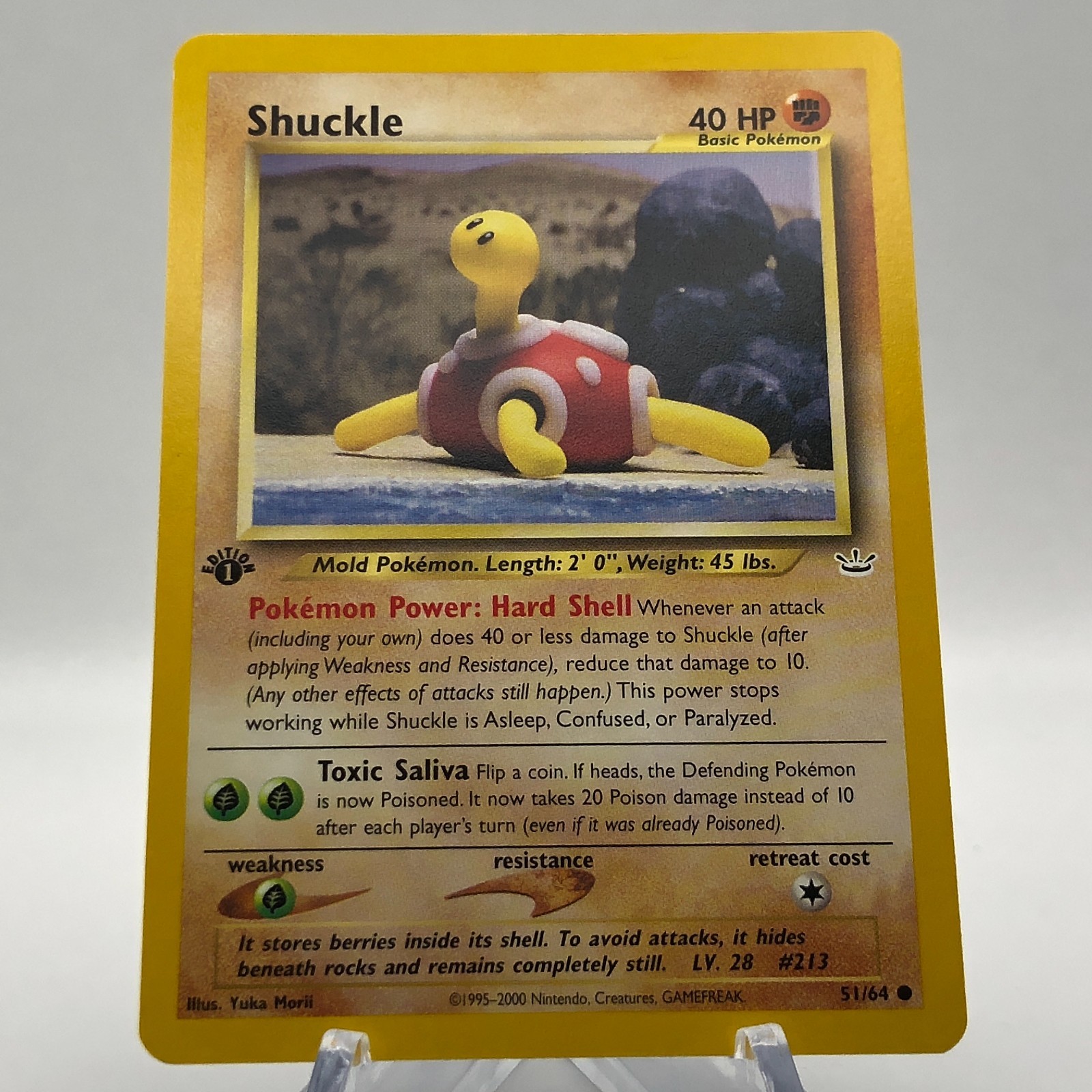 Pokemon Shuckle 51/64 - 1st Edition Neo Revelation - NM WotC 2001 Vintage