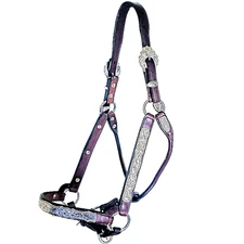 Dale Chavez Silver and Jewelers Bronze Show Halter Full Horse Size