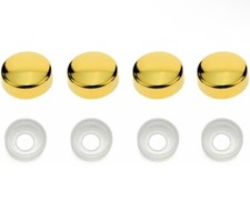 4 Gold License Plate Tag Mounting Holder Frame Shield Screw Cap Covers Brand New 4 Gold License Plate Tag Mounting Holder Frame Shield Screw Cap Covers Brand New