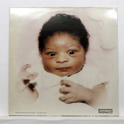 BUTTHOLE SURFERS ⸺ locust abortion technician ⸺ TOUCH AND GO
