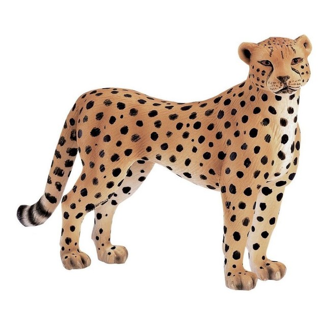 schleich cheetah