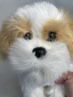 Foto 9 di 10