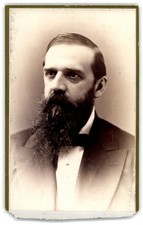 Antique Cdv Circa 1880s M. W. Owens Handsome Bearded Man In Suit Grand Rapids Mi