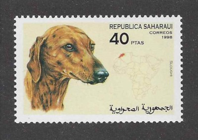 Dog Art Head Portrait Postage Stamp SALUKI SLOUGHI Spanish Sahara 1998 MNH