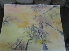 Original Watercolor By Peg Humphreys, Looking Up Sequoias  20"x 25.75" 