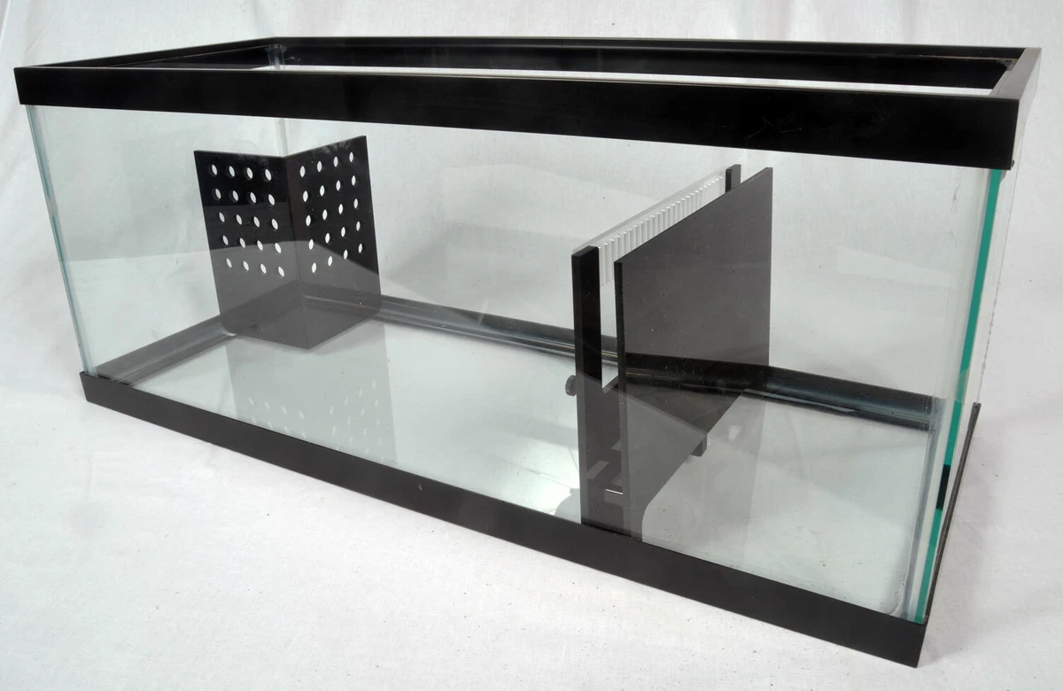 20 gallon sale freshwater sump