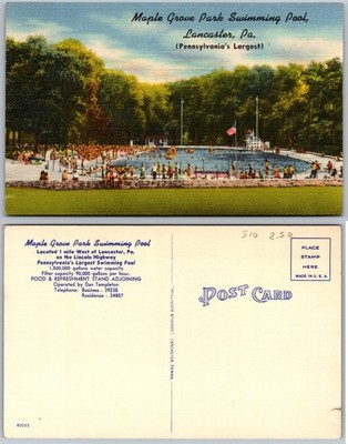 Lancaster PA Maple Grove Park Swimming Pool Postcard