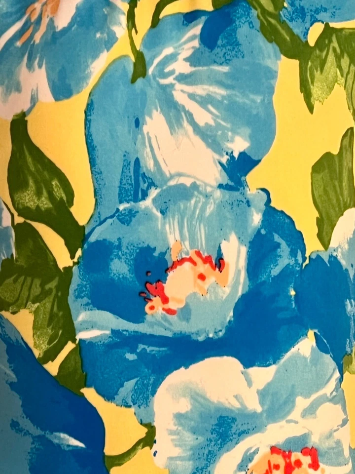 GK FIGURE SKATE CHILD SMALL BLUE VELVET CAP SLV NATTE TRICOT FLORAL PRINT DRESS - Image 3 of 4